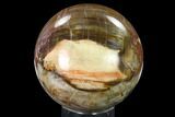 Colorful Petrified Wood Sphere - Madagascar #135656-1